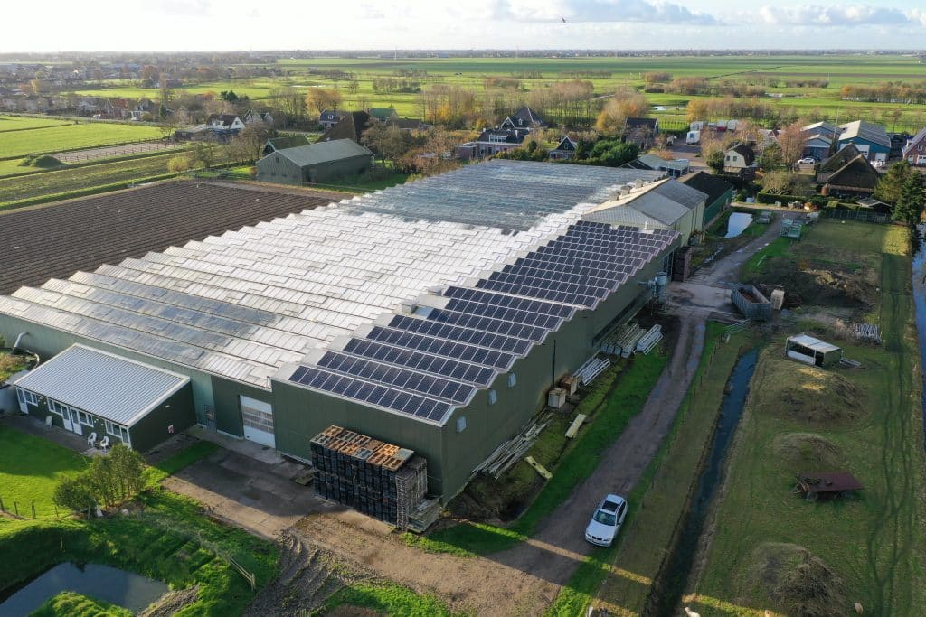 zonnepanelen bij bloemenkwekerij